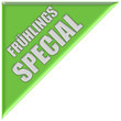 Dreieck hellgrün FRÜHLINGSSPECIAL