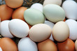Frische Eier