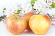 Apfel