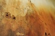 alte wand II