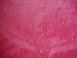 ����: Textile � dragancfm #31668351
