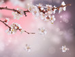 Spring Blossom Design