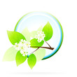 Green Tree Branch Icon