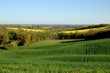 Coteaux de Gascogne