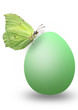 egg with butterfly
