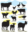 set vector farm animals silhouettes
