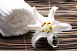 made of natural objects on bamoo mat