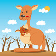Kangaroo mom and baby