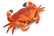 Prepared crab