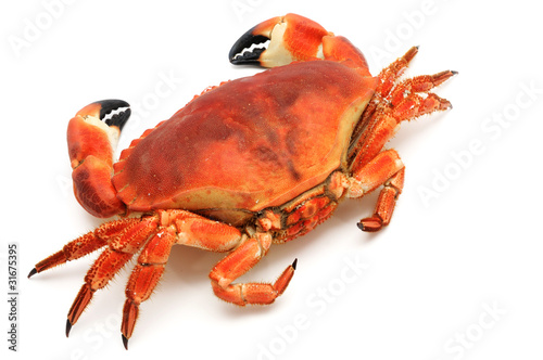 Photo: Prepared crab Prepared crab