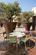 Restaurant : Déjeuner en terrasse à l'ombre des oliviers