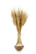 grano