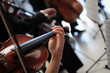 violino