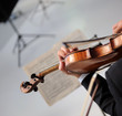 violino