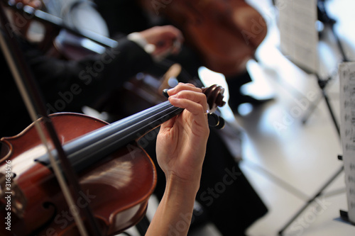 Photo: violino violino
