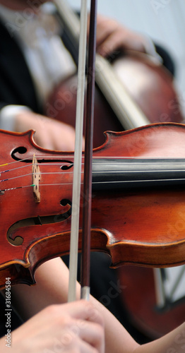 Photo: violino violino