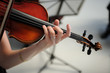 violino