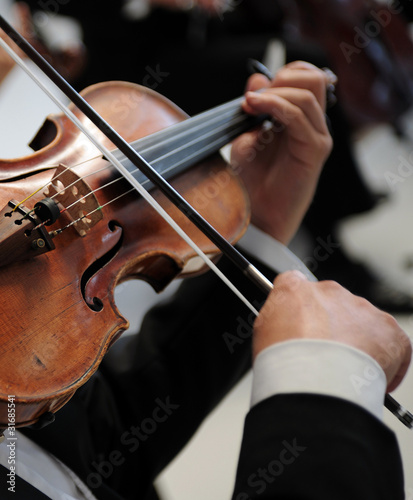 Photo: violino violino