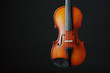 violino