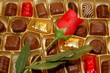 pralinen pralinen