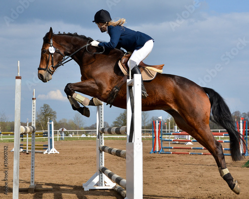 Foto: Horse show jump Horse show jump
