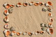 Frame maked of shells.