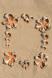 Frame maked of shells.