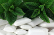 minze mit kaugummi