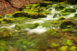 Photo: Cascade Cascade