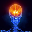 X-ray brain medical scan front view