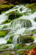 Photo: Mountain stream Mountain stream