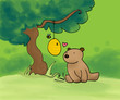 orsetto e ape nel bosco