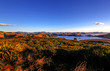 Otago Peninsula, Dunedin