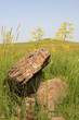 Dolmen