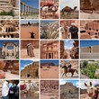 Jordanien Collage