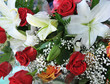 Different flowers Different flowers