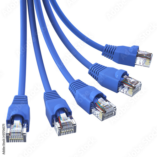 Illustration: Blue network cables - in a bunch Blue network cables - in a bunch