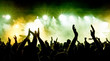 Jubelnde Konzertbesucher auf Rock-Konzert Jubelnde Konzertbesucher auf Rock-Konzert