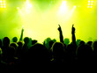 Jubelnde Konzertbesucher auf Rock-Konzert