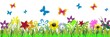 papillons