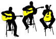 Acoustic guitarist Acoustic guitarist