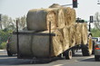 Traktor mit Heuballen