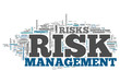 Word Cloud "Risk Management"