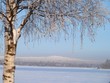 paysage finlandais
