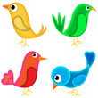 four birds drawn in cartoon style four birds drawn in cartoon style