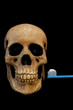 Brush Your Teeth