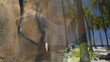 Nature and Wildlife Montage Nature and Wildlife Montage