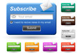 Web subscribe form.