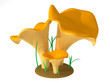 Chanterelle Chanterelle