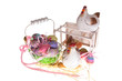 easter-eggs and chickens
